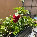 La Rocchetta Casa vacanze Sutri