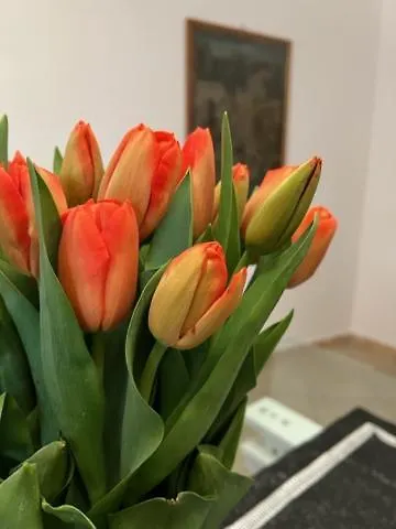 Ferienhaus La Rocchetta